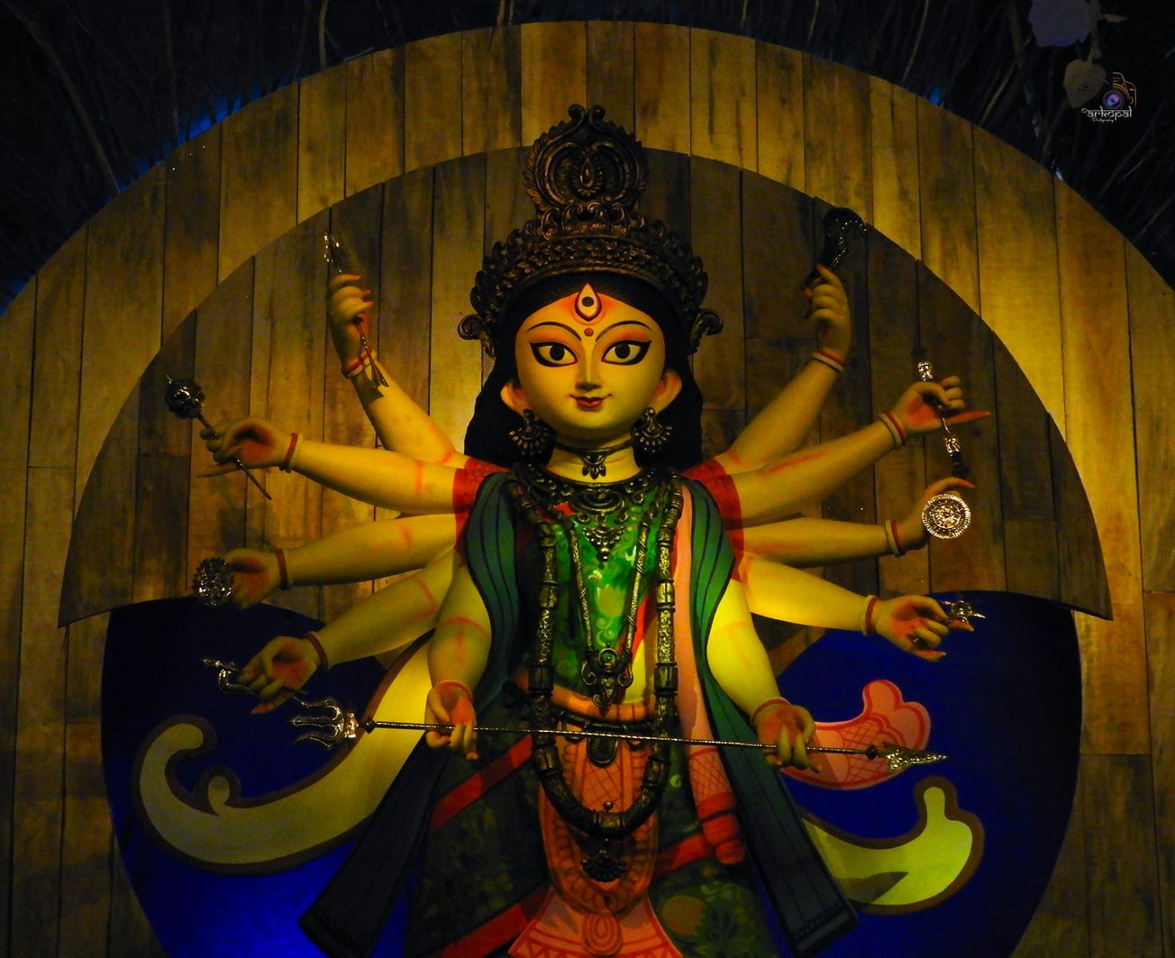 হিন্দুস্থান পার্ক দুর্গোৎসব!