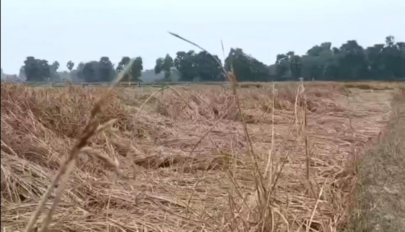 খবরের জেরে তৎপর হল শালবনী ব্লক প্রশাসন!