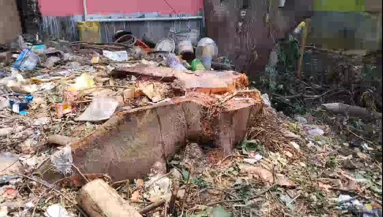 বন বিভাগ বা পৌরসভার অনুমতি না নিয়ে গাছ কাটার অভিযোগ উঠেছে!