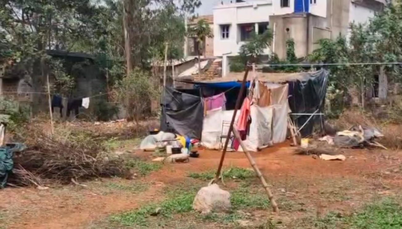 বন দপ্তরের জায়গা দখল করে বাড়ি তৈরী উচ্ছেদ !