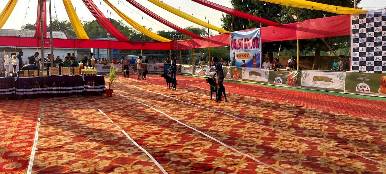 পশ্চিম মেদিনীপুর জেলার খড়গপুর শহরে আয়োজিত হল দেশি বিদেশী কুকুর প্রদর্শনী অভিনব অনুষ্ঠান!