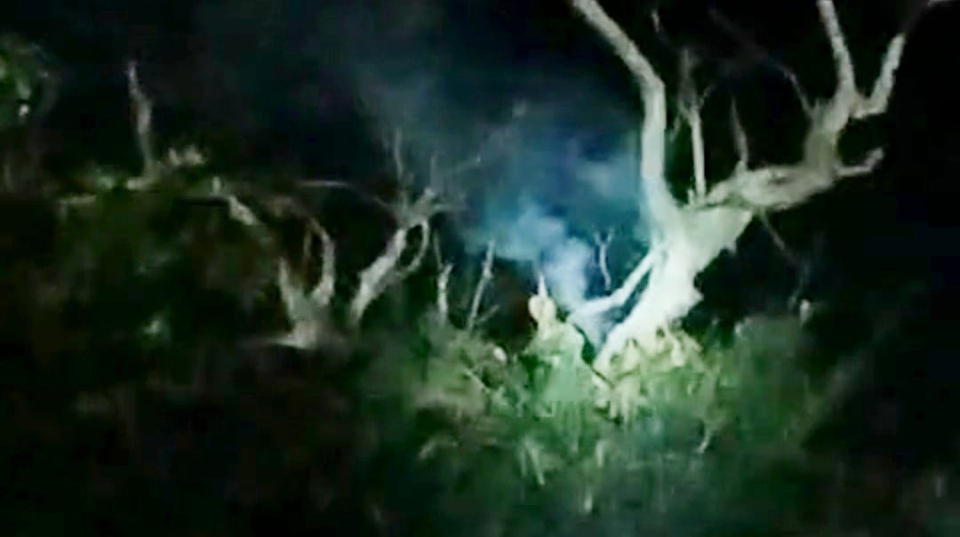 পশ্চিম মেদিনীপুর জেলার কেশপুর থানার অন্তর্গত চড়কা গ্রামে হঠাৎই গাছের ডালে আগুন!