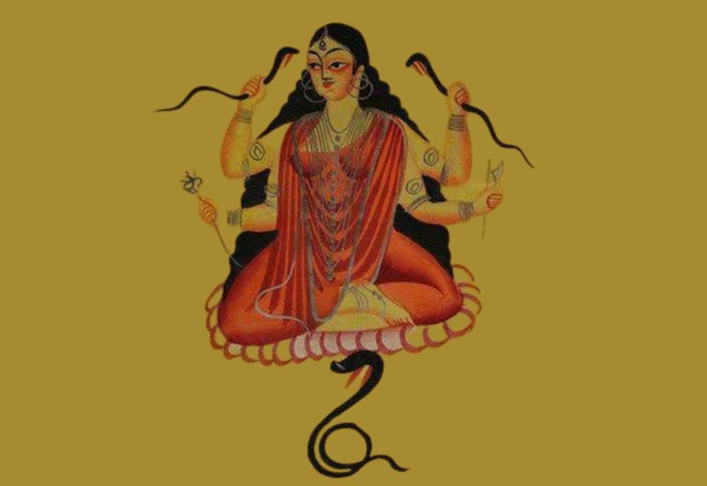 ভাগীরথীর নাগা দেবী মনসা দেবীর গল্প!