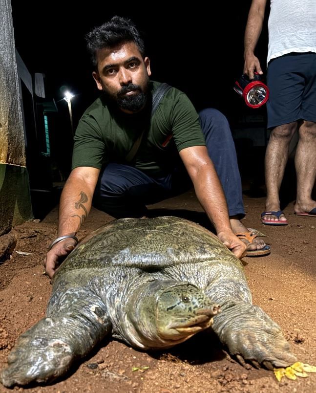 মেদিনীপুরে কাঁসাই নদীতে ছিপ উঠলো ২৮ কেজির দৈত্যাকার কাছিম (কচ্ছপ),তুলে দেওয়া হল বনদপ্তরের হাতে!