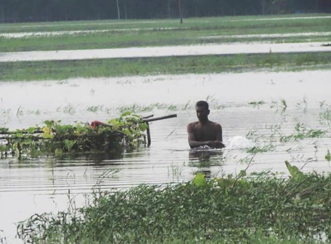 ঘূর্ণিঝড় রেমালের ধাক্কায় তছনছ হয়ে গিয়েছে বাংলার ফসল ভাণ্ডার!