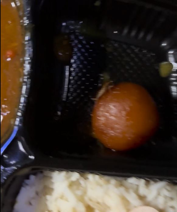 ট্রেনের খাবারে জ্যান্ত আরশোলা!