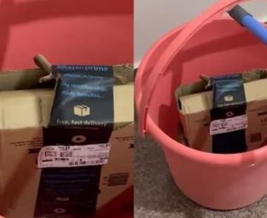 বেঙ্গালুরু দম্পতি অ্যামাজন থেকে এক্সবক্স প্যাকেজে কোবরা খুঁজে পেয়েছেন!