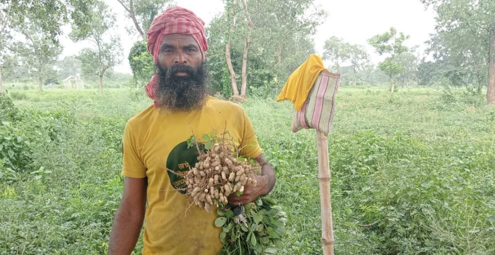 বাঁকুড়া জেলায় বড়জোড়া ব্লকের মানাচর বড়ো মানা গ্রামে গ্রামীণ কৃষকরা প্রায় ২০০০ বিঘা বাদাম চাষ!