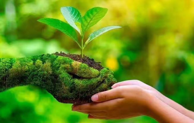 কেন আজকের দিনেই প্রকৃতি নিয়ে এত মাতামাতি?