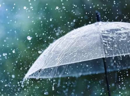 বঙ্গোপসাগরে তৈরি হচ্ছে নিম্নচাপ,শুক্রবার থেকে দক্ষিণবঙ্গে  বাড়বে বৃষ্টি!