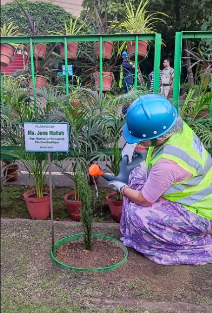বুধবার খড়গপুর টাটা মেটালিক্স বৃক্ষরোপন কর্মসূচিতে সাংসদ জুন মালিয়া!