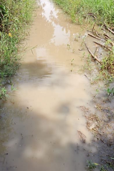 ঢালাই রাস্তায় রূপান্তরিত করার জন্য কোলাঘাট ব্লক রাস্তা উন্নয়ন সংগ্রাম কমিটির দীর্ঘ আন্দোলনের পরে  পঞ্চায়েত দপ্তর দ্বিতীয় ওয়ার্ক অর্ডার ইস্যু করল!