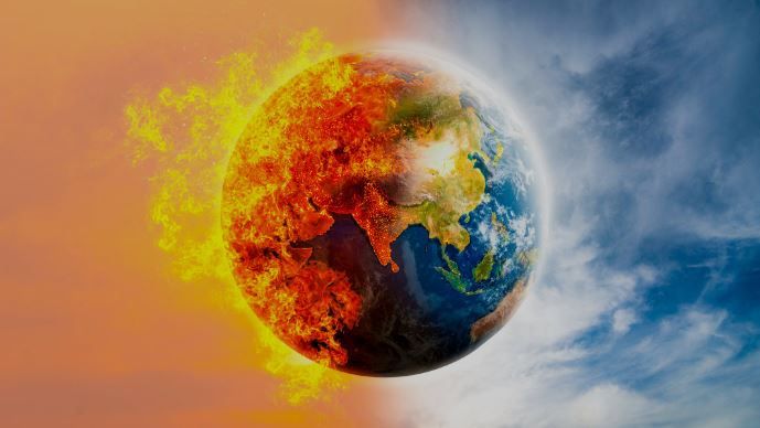 আইআইটি খড়গপুরের নেতৃত্বে সমীক্ষা বলছে যে গ্রীষ্মমন্ডলীয় রেইনফরেস্টগুলি বিশ্ব উষ্ণায়ন থেকে বাঁচতে পারে!