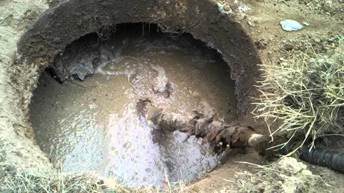 নন্দীগ্রামে সেপটিক ট্যাঙ্ক পরিষ্কার করতে গিয়ে মৃত দুই শ্রমিক,গুরুতর অসুস্থ বাড়ির মালিক!