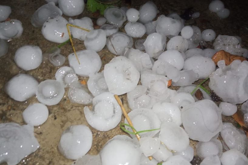 রবিবার সন্ধ্যায় কালবৈশাখীর ঝড় ও শিলাবৃষ্টিতে কোলাঘাট- পাঁশকুড়ায় ধান-ফুল-সব্জি চাষে ব্যাপক ক্ষতি!