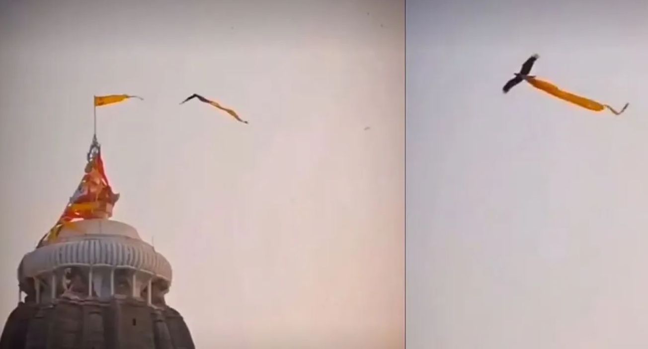 পুরীর মন্দিরের পতাকাই ছিঁড়ে নিয়ে উড়েছিল ঈগল!