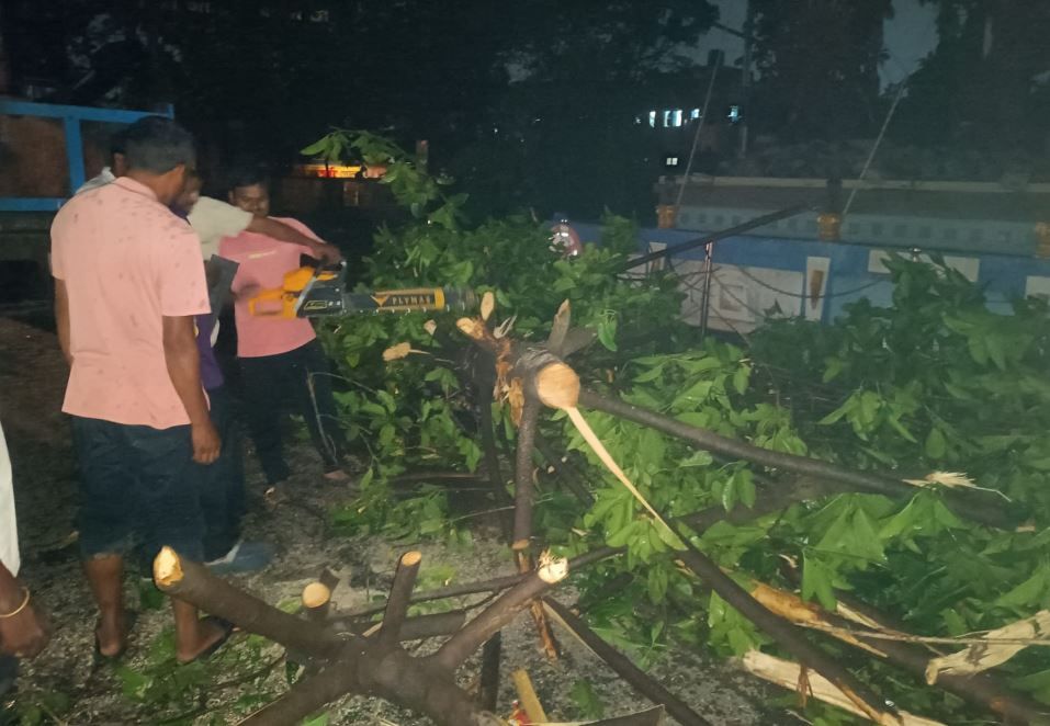 বৃহস্পতিবার বিকেল ঝড়ের দাপটে একাধিক গাছ পড়ে মেদিনীপুর শহরের কলেজ রোডে  ভেঙে গেলো মনীষীদের মূর্তি!