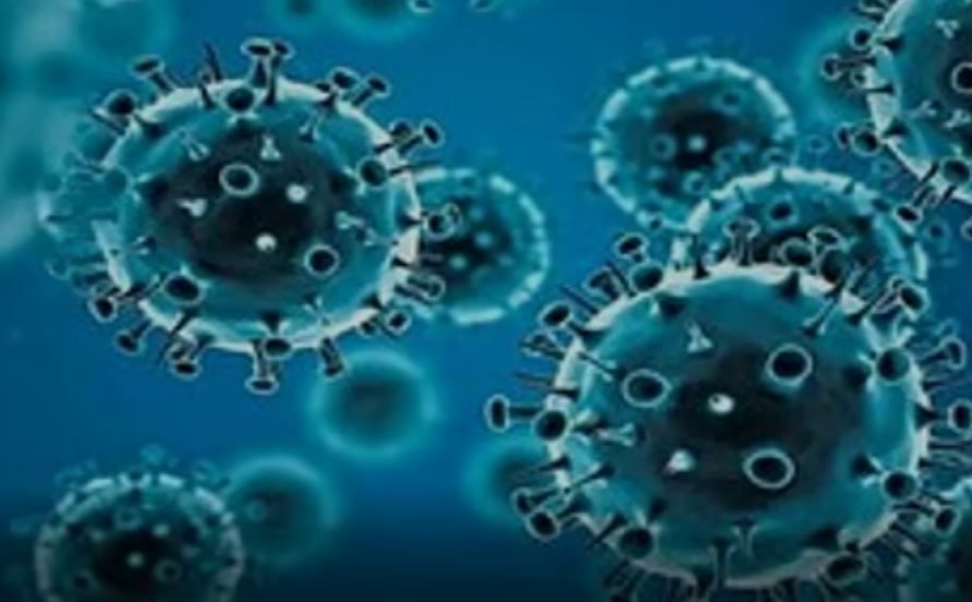 দেশে করোনা আক্রান্তের সংখ্যা আড়াইশো পার!