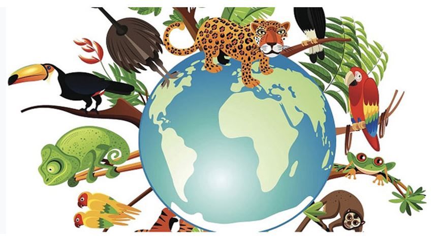 জঙ্গল এবং জীবন রক্ষার সম্পর্কের সচেতনতা, ৫০০ ঘণ্টা পার!