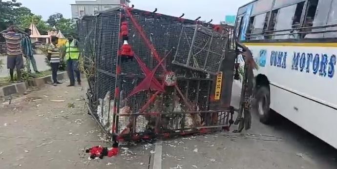 আজ সকালে ওড়িশা থেকে কলকাতাগামী মুরগি বহনকারী একটি পিকআপ ভ্যান মকরামপুরবাস স্ট্যান্ডে জাতীয় সড়কে উল্টে যায়!