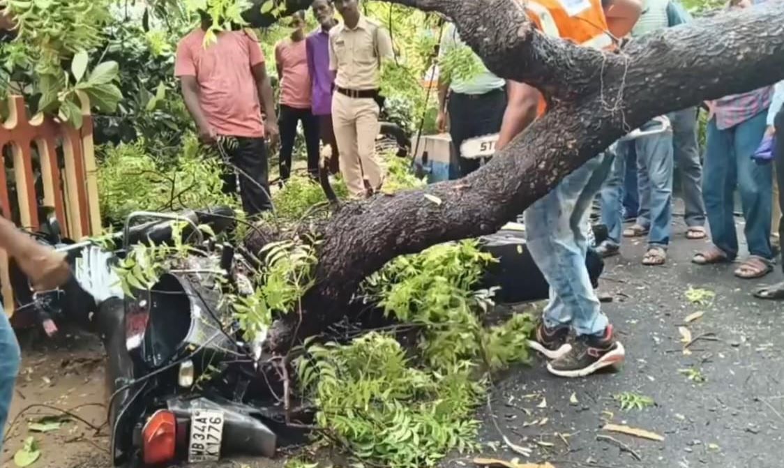 কয়েক মিনিটের ঝড়ে লণ্ডভণ্ড হলো মেদিনীপুর শহরের বিভিন্ন এলাকা!