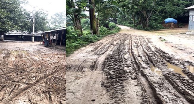 পশ্চিম মেদিনীপুরের সবংয়ের বসন্তপুর গ্ৰামের বেহাল রাস্তা!