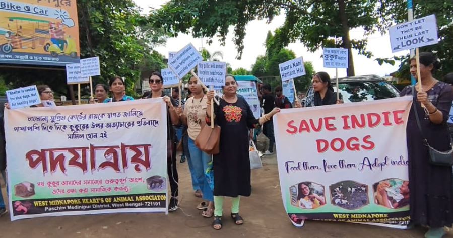 রাস্তার অবলা প্রাণী ও কুকুর সম্পর্কে সুপ্রিম কোর্টের রায়কে স্বাগত জানিয়ে জনসভা কর্মসূচি!