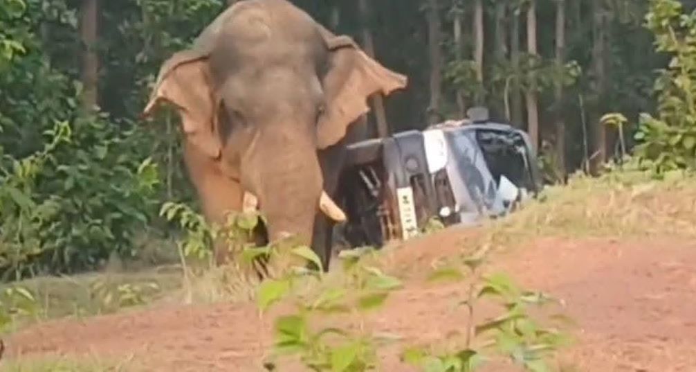 পশ্চিম মেদিনীপুর জেলার শালবনীর পিড়াকাটা এলাকায় হাতির তান্ডব!