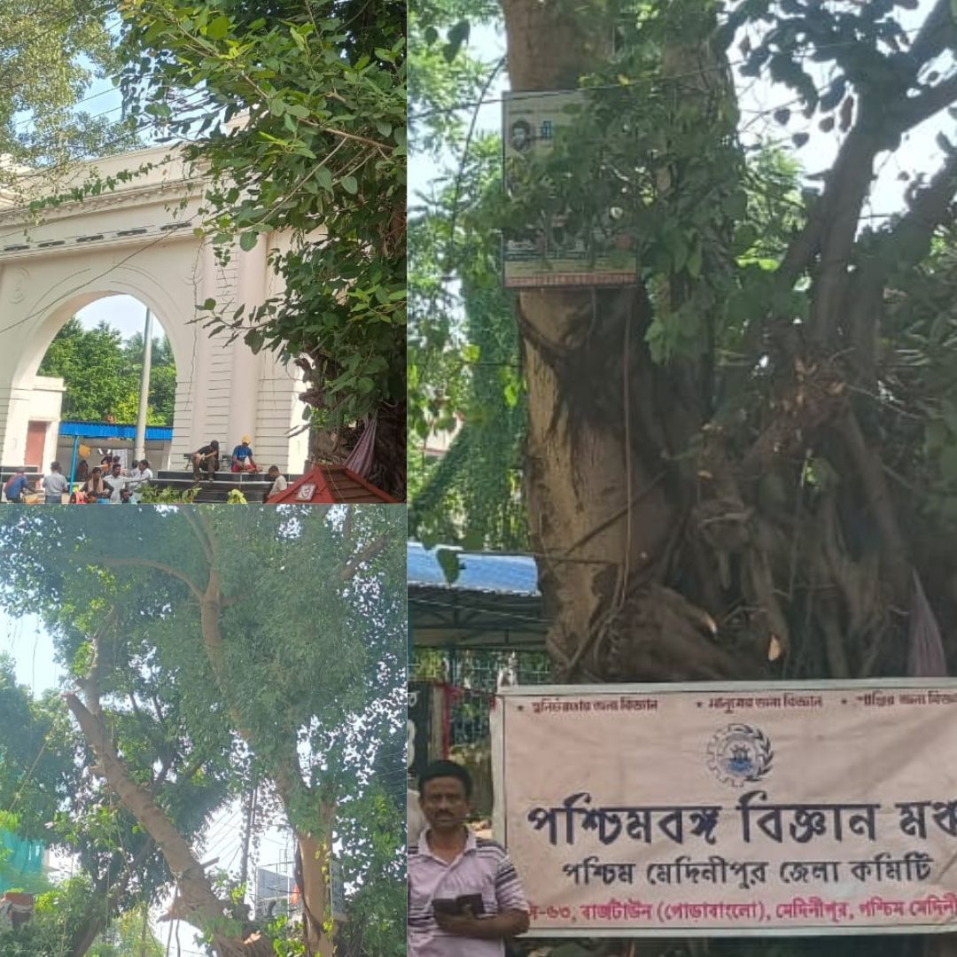 পঞ্চাশ বছরের পুরানো গাছ কাটা আটকালেন বিজ্ঞান মঞ্চের সদস্যরা!