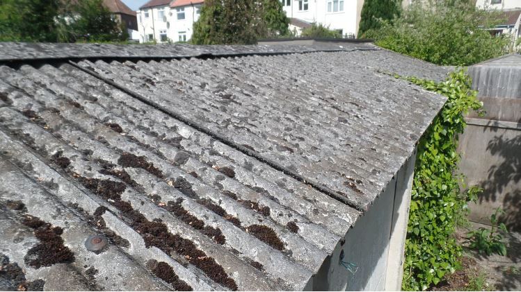 শিক্ষা প্রতিষ্ঠানে অ্যাসবেস্টস শিট নিয়ে সম্পূর্ন নিষেধাজ্ঞা খারিজ করলো  ন্যাশনাল গ্রিন ট্রাইব্যুনাল (এনজিটি)!