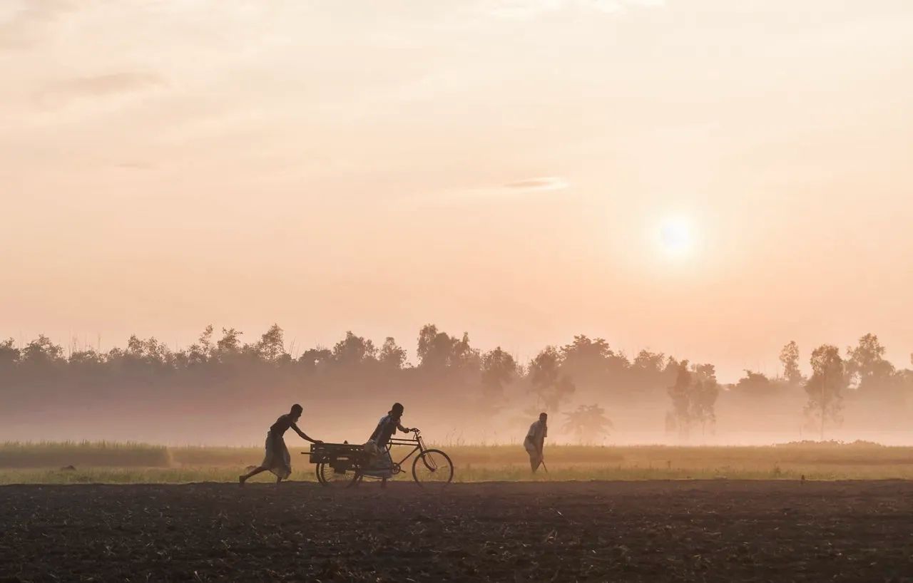 হেমন্তের পরশ! রাজ্যে নামছে পারদ, ভোরে ছড়াবে কুয়াশার চাদর!