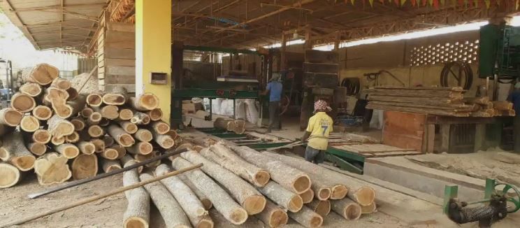 গজিয়ে উঠছে বেআইনি কাঠচেরাই মিল, অভিযানে খড়গপুরে  বনদফতর!