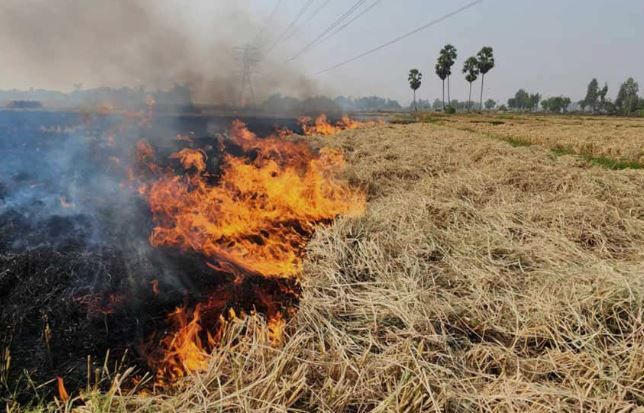 ঘাটালে নাড়া পোড়ানোর আগুনে পুড়ে গেল বিঘের পর বিঘে জমির ফসল!