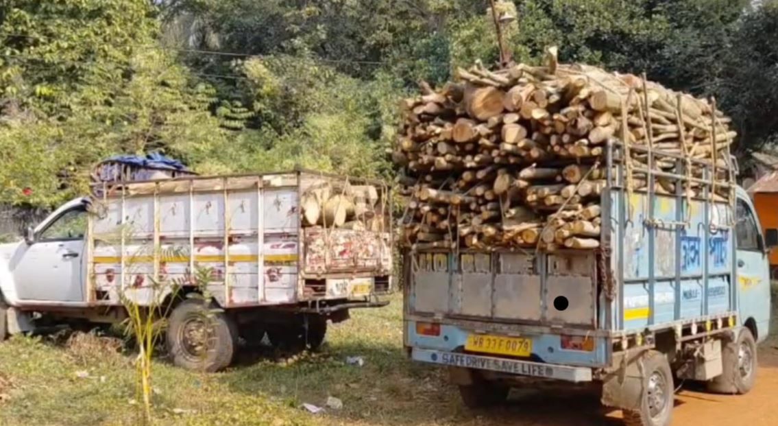শীতের গভীর রাতের বেআইনি কাঠ পাচার চক্র!