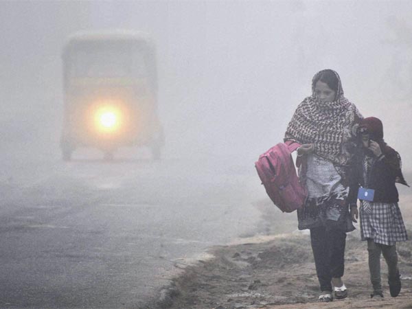 খামখেয়ালি শীতের দাপটে বাংলা, কুয়াশার সতর্কতা জারি!