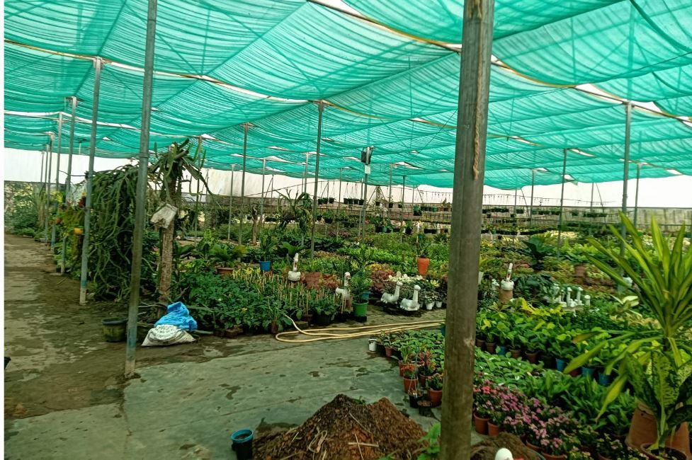 পশ্চিম মেদিনীপুর জেলার নিকটবর্তী জকপুর গ্রামের 'পুষ্পাঞ্জলী প্রণবীর নার্সারি'!