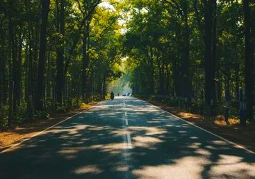 জঙ্গলের রাস্তায় দুঃসাহসিক ছিনতাই! ঝাড়গ্রামে CSP কর্মীর কাছ থেকে লুট প্রায় ৩ লক্ষ টাকা...