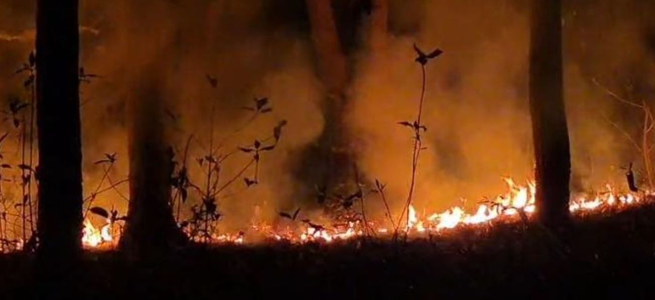 বেলপাহাড়ির জঙ্গলে ভয়াবহ অগ্নিকাণ্ড, রাতভর দমকলের লড়াই—মানব অবহেলার অভিযোগ!