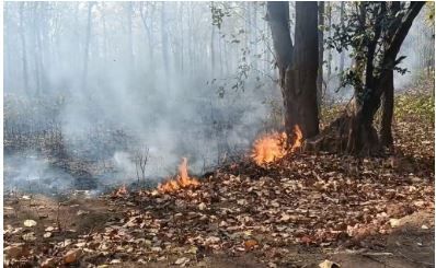 জঙ্গলমহলে আগুনের তাণ্ডব: ঝাড়গ্রামে বনভূমিতে একের পর এক অগ্নিকাণ্ড, প্রাণ গেল বৃদ্ধার!