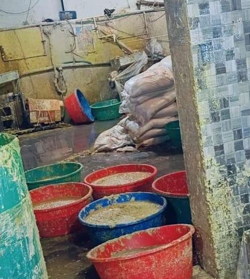 অ্যাসেটিক অ্যাসিড মিশিয়ে তৈরি আদা বাটা! হায়দরাবাদে টাস্ক ফোর্সের অভিযানে চাঞ্চল্য