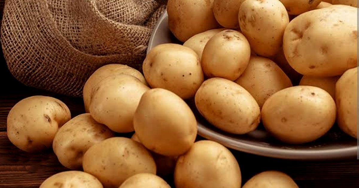 আলুর দামে ধস, ঋণের চাপ—ঘাটালে চাষির মৃত্যুতে তীব্র ক্ষোভ, রাস্তায় নেমে বিক্ষোভ!