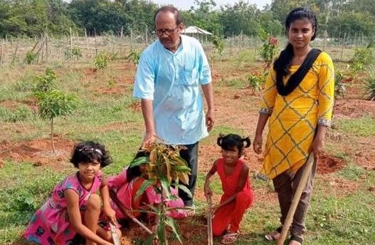 রুক্ষ লালমাটিতে সবুজের বিপ্লব: অবসরপ্রাপ্ত শিক্ষক গৌরসাধনবাবুর অরণ্য-সাধনা আজ অনুপ্রেরণা!