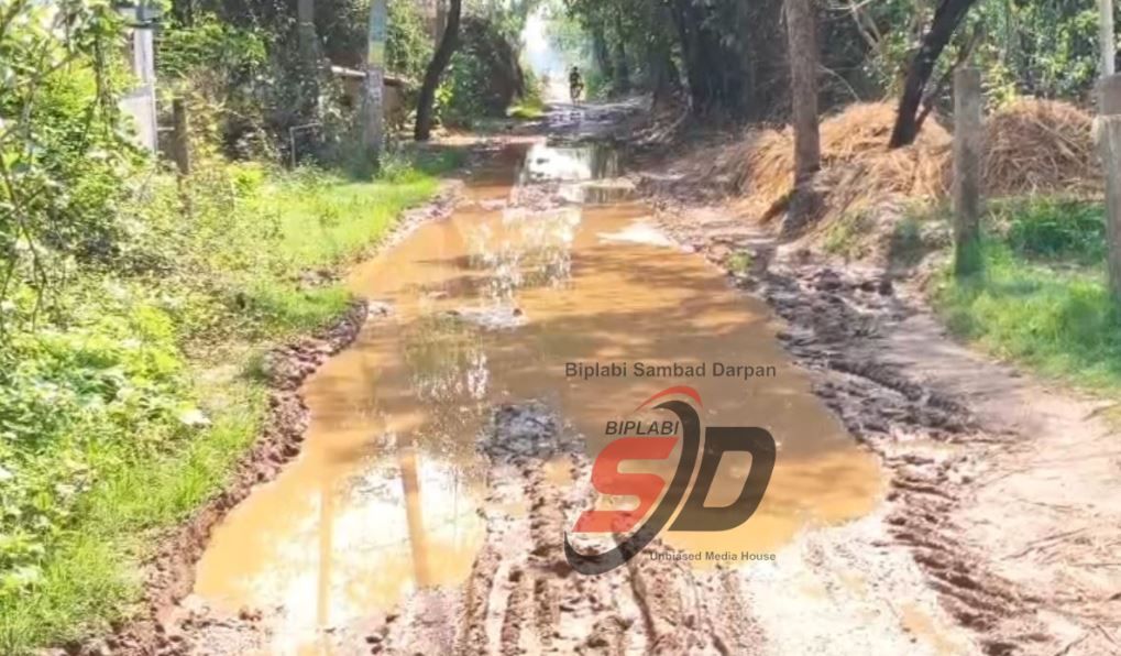 একটু বৃষ্টিতেই কাদা সমুদ্র! রাস্তার বেহাল দশায় নাজেহাল গ্রামবাসী, ঢুকতে পারছে না অ্যাম্বুলেন্সও!