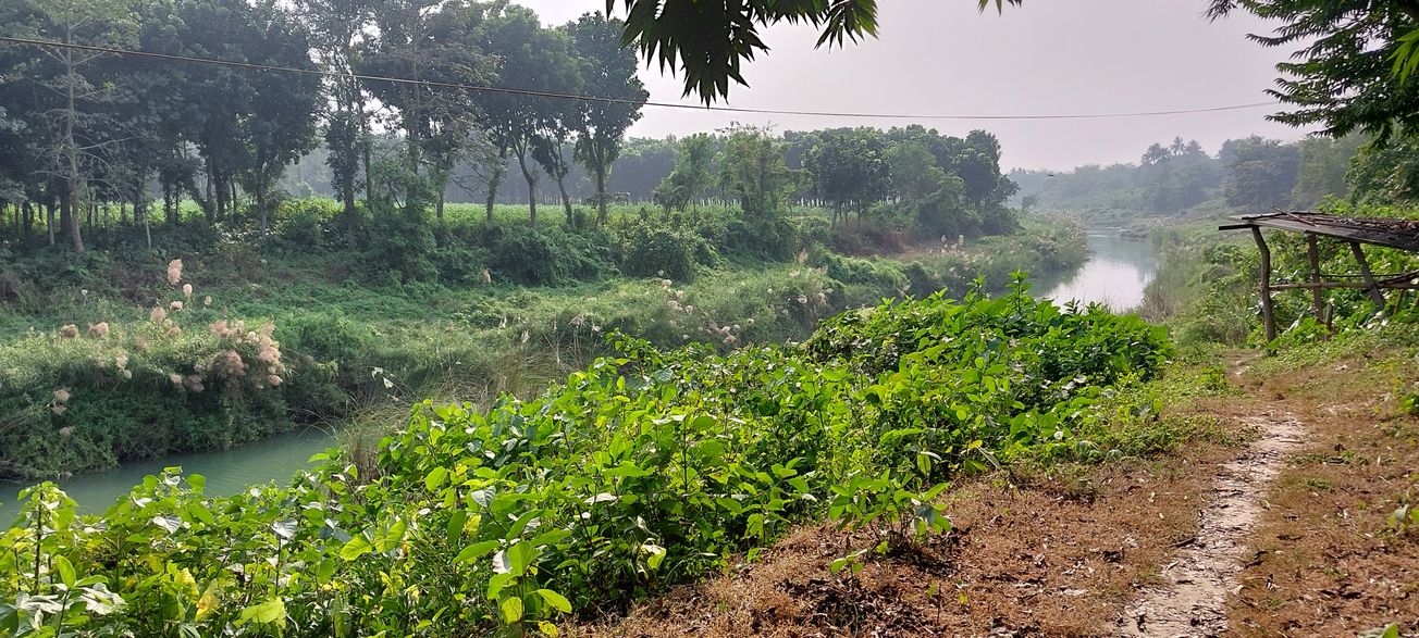 কাঁটাতার নয়, এবার কুমির–সাপেই অনুপ্রবেশ রোখার ভাবনা! বঙ্গ সীমান্তে নজরদারিতে নজিরবিহীন পরিকল্পনা!