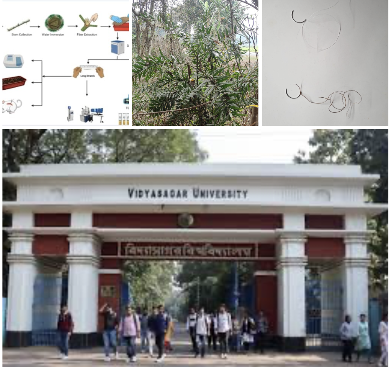 প্রাকৃতিক তন্তু থেকেই সার্জিক্যাল সেলাই! যুগান্তকারী গবেষণায় নতুন দিগন্ত খুলল বাংলার বিজ্ঞানীরা!